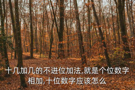 數字加法,十進制系統中數字疊加計算從一位數字開始