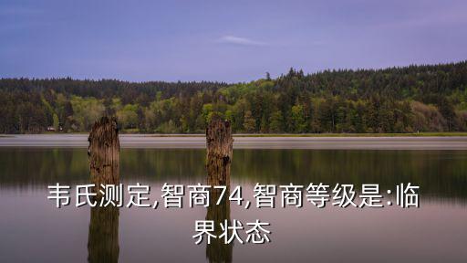 韋氏測定,智商74,智商等級是:臨界狀態(tài)