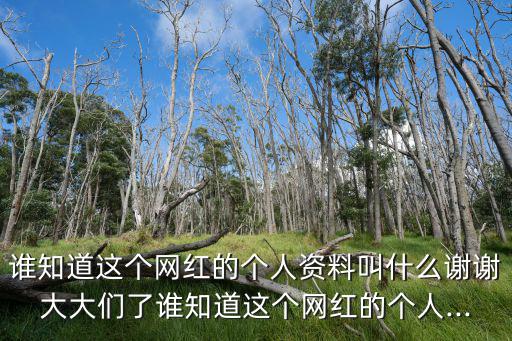 誰知道這個網紅的個人資料叫什么謝謝大大們了誰知道這個網紅的個人...