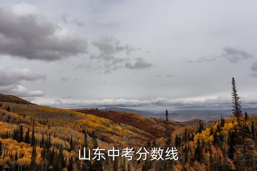 山東中考,山東中考分數線出爐中考難度高