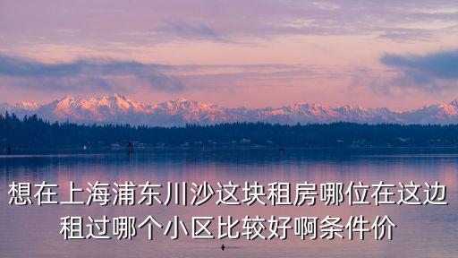 川沙哪個小區房價最高，為什么上海浦東川沙的綠地東海岸房價這么低