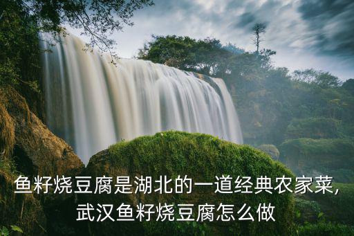 魚籽燒豆腐是湖北的一道經典農家菜,武漢魚籽燒豆腐怎么做