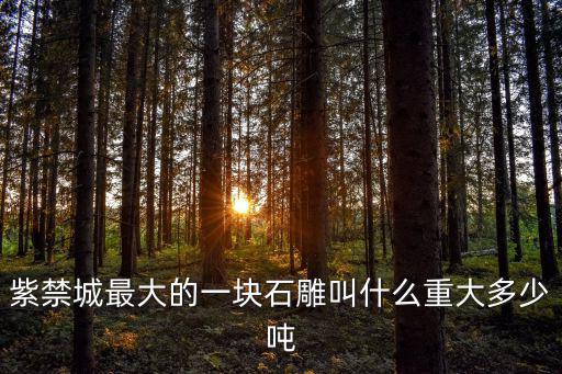紫禁城最大的一塊石雕叫什么重大多少噸