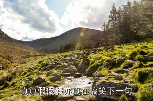 真真假假假亦真在搞笑下一句