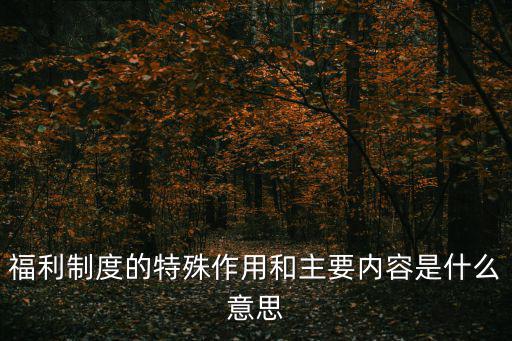 福利制度的特殊作用和主要內容是什么意思