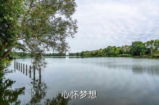 心懷夢想