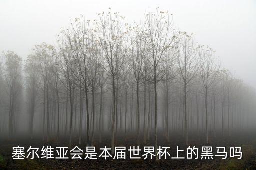 塞爾維亞會是本屆世界杯上的黑馬嗎