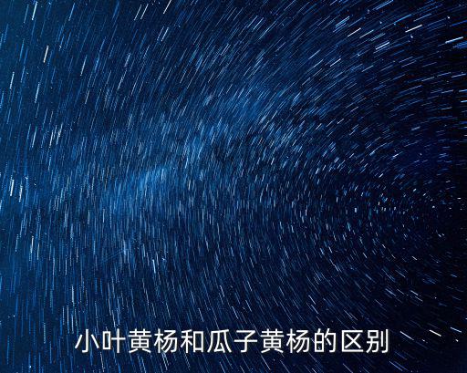 小葉黃楊和瓜子黃楊的區(qū)別