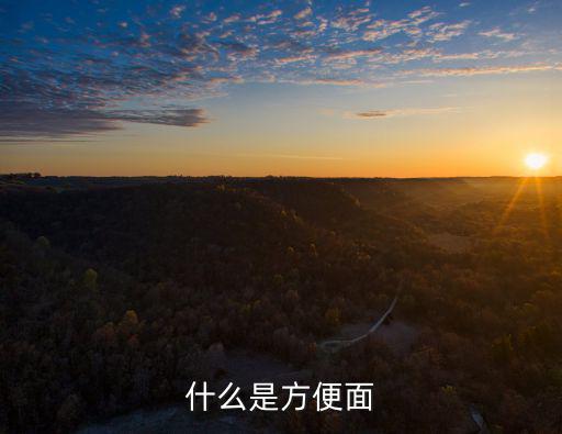 什么是方便面