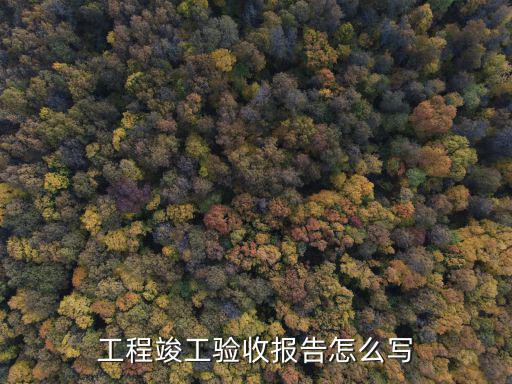 工程竣工驗收報告怎么寫