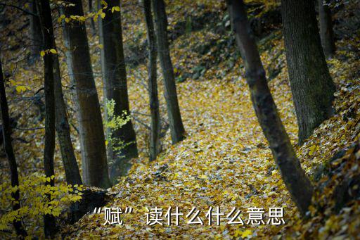 “賦”讀什么什么意思