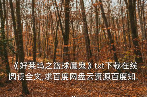 《好萊塢之籃球魔鬼》txt下載在線閱讀全文,求百度網盤云資源百度知...