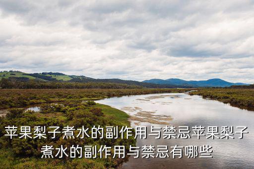 蘋果梨子煮水的副作用與禁忌蘋果梨子煮水的副作用與禁忌有哪些