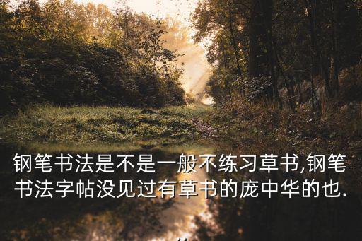 鋼筆書法是不是一般不練習草書,鋼筆書法字帖沒見過有草書的龐中華的也...