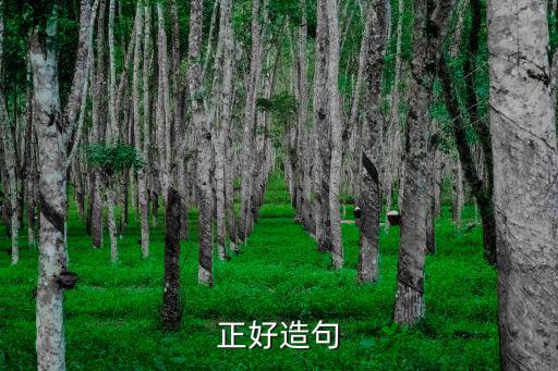 正好造句