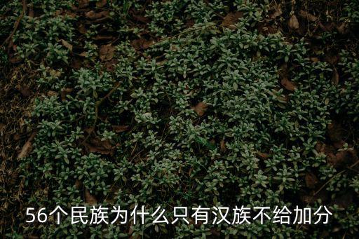 56個民族為什么只有漢族不給加分