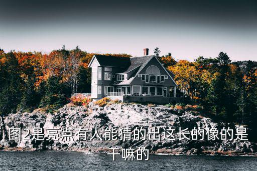 圖2是亮點(diǎn)有人能猜的出這長(zhǎng)的像的是干嘛的