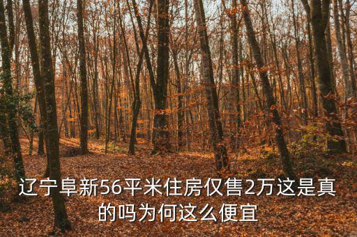 遼寧阜新56平米住房僅售2萬這是真的嗎為何這么便宜