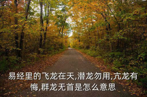 易經(jīng)里的飛龍?jiān)谔?潛龍勿用,亢龍有悔,群龍無首是怎么意思