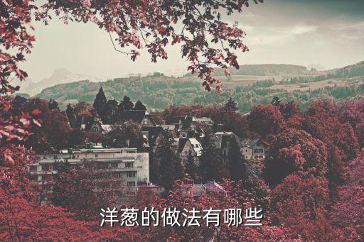 洋蔥的做法有哪些