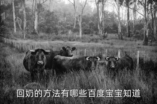 回奶方法,回奶的方法有哪些?