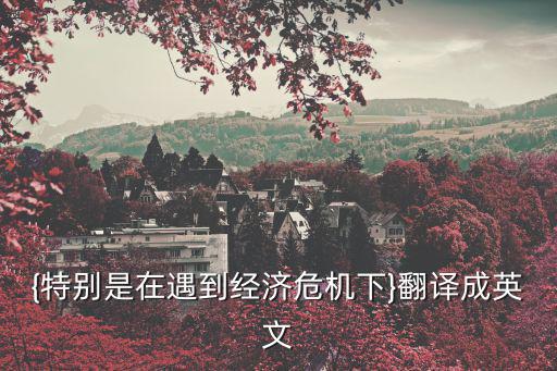 {特別是在遇到經濟危機下}翻譯成英文