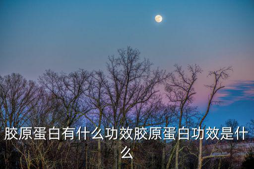 膠原蛋白有什么功效膠原蛋白功效是什么