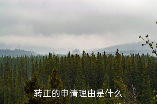 轉正理由,轉正申請理由是什么?