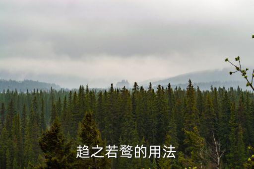 趨之若鶩的用法