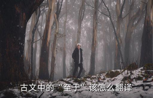 古文中的“至于”該怎么翻譯
