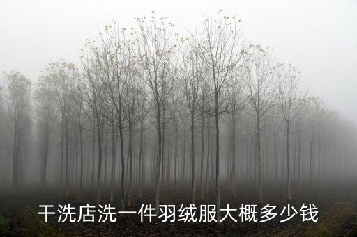 羽絨服干洗多少錢,羽絨服怎么洗?三大注意事項!