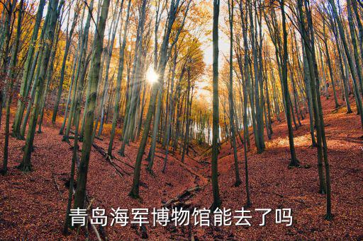 青島海軍博物館能去了嗎