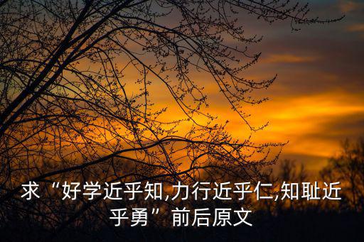 好學(xué)近乎知,子厚求好學(xué)近乎知,知恥近乎勇