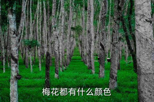 梅花都有什么顏色