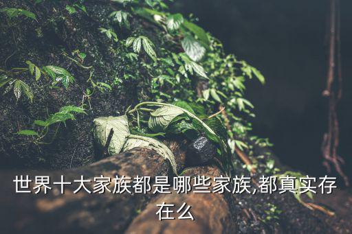 福特家族,福特股票全部出售實(shí)際擁有股權(quán)比例只有6%