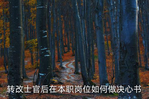 決心書部隊(duì),決心書格式要求符合規(guī)定并注明時間和地點(diǎn)