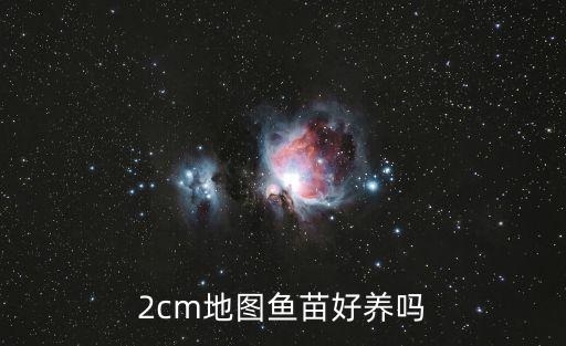 2cm地圖魚苗好養(yǎng)嗎
