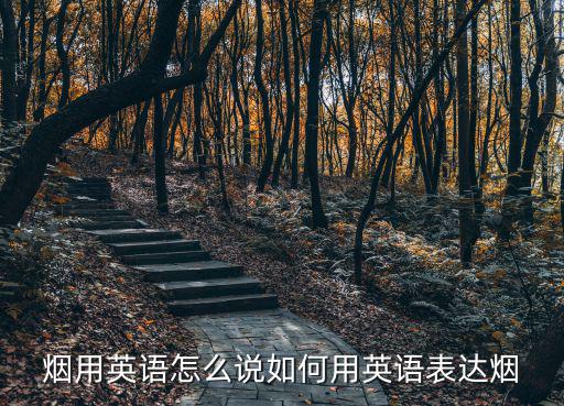 煙用英語怎么說如何用英語表達煙
