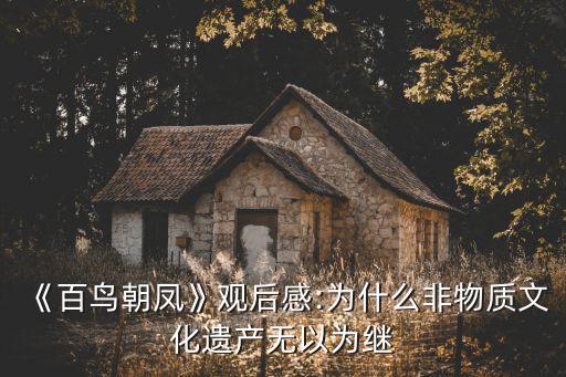《百鳥朝鳳》觀后感:為什么非物質(zhì)文化遺產(chǎn)無以為繼