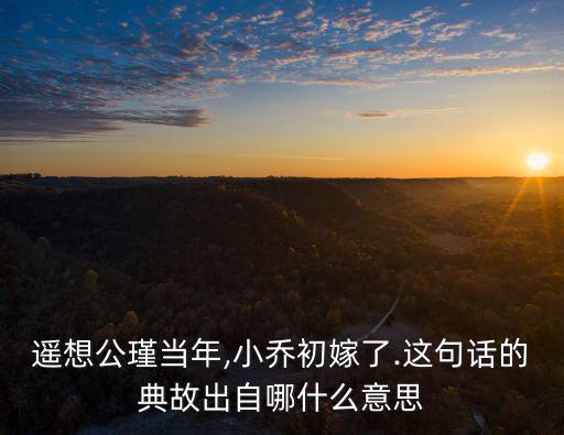 遙想公瑾當年,一尊還江月遙想公瑾當年典故出處