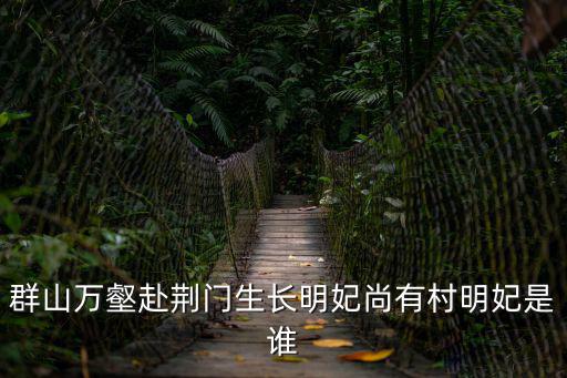 群山萬壑赴荊門生長明妃尚有村明妃是誰