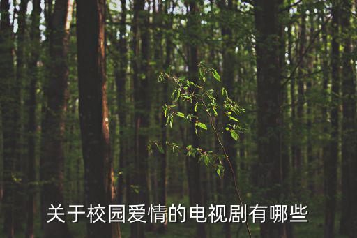 關(guān)于校園愛(ài)情的電視劇有哪些