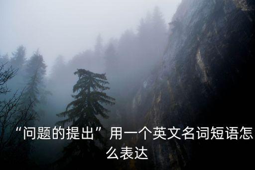 “問題的提出”用一個英文名詞短語怎么表達