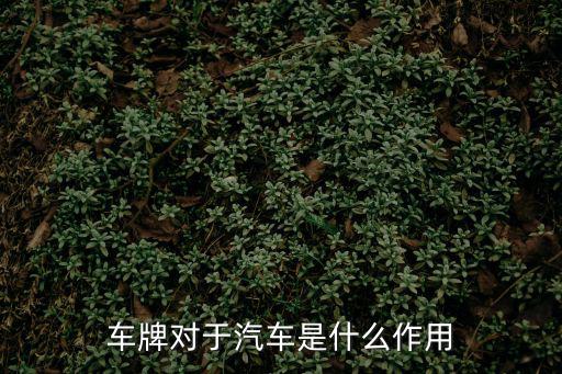 車牌對于汽車是什么作用