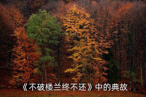 《不破樓蘭終不還》中的典故