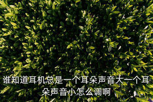 誰知道耳機總是一個耳朵聲音大一個耳朵聲音小怎么調啊