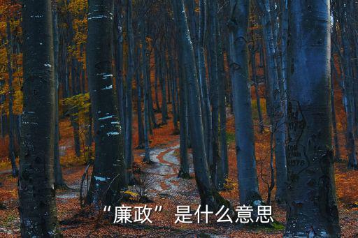 廉潔廉政,第五集:廉政與選舉結果不符