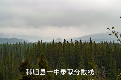 長陽一中,湖北宜昌市外國語學校（12中）升學率和學風一流