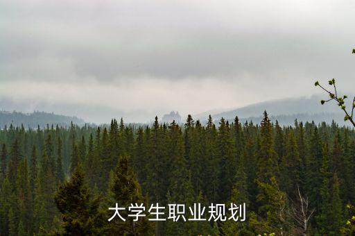 大學(xué)生職業(yè)規(guī)劃