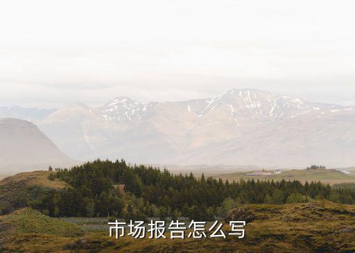 市場報告怎么寫